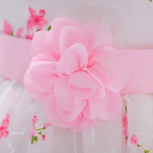 Baby Girl 1 Year Birthday Princess Party Flowers Baptism Dress Infant Embroidery Floral Sleeveless Costume Newborn Kids Clothes - Image 6